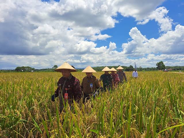 DPRD Dukung Pembinaan Berkelanjutan untuk Petani Berau