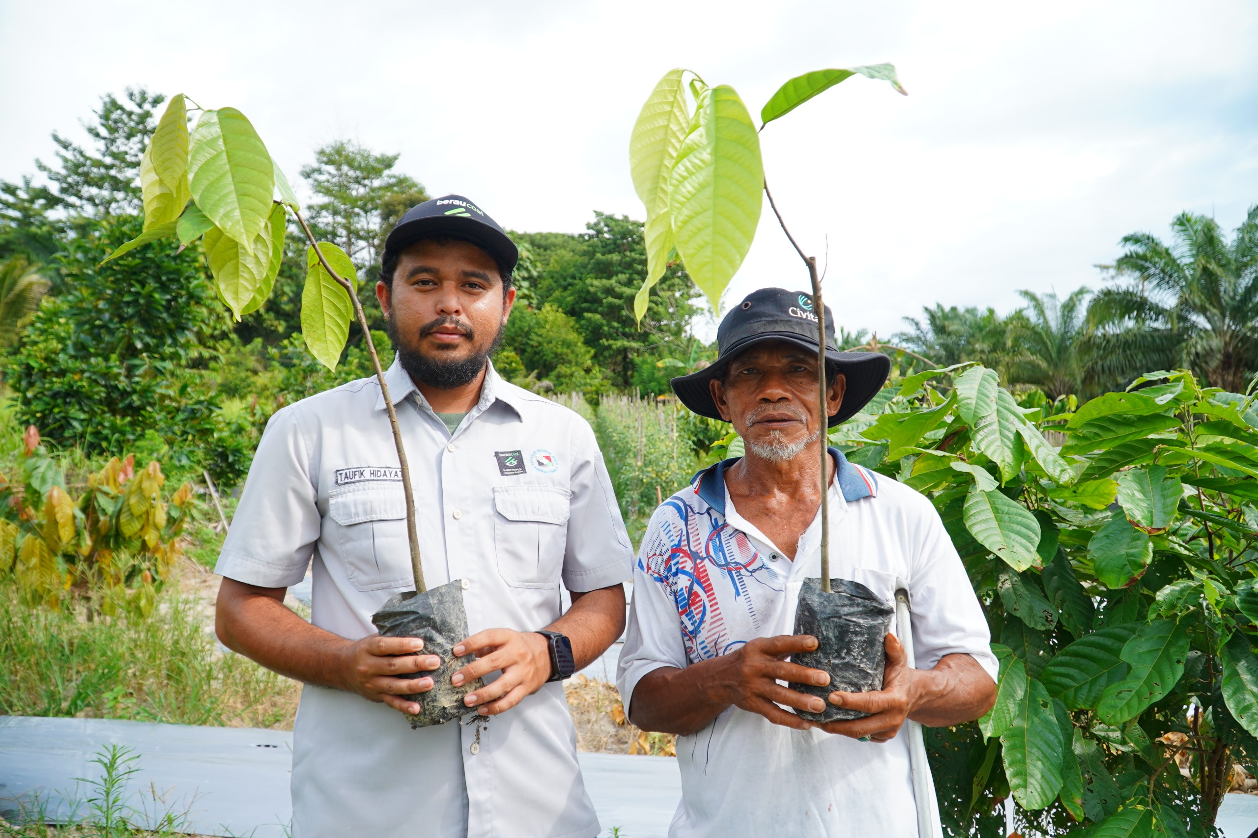 Perkuat Ketahanan Ekonomi di Kampung Binaan, PT Berau Coal Salurkan Ratusan Bibit Kakao
