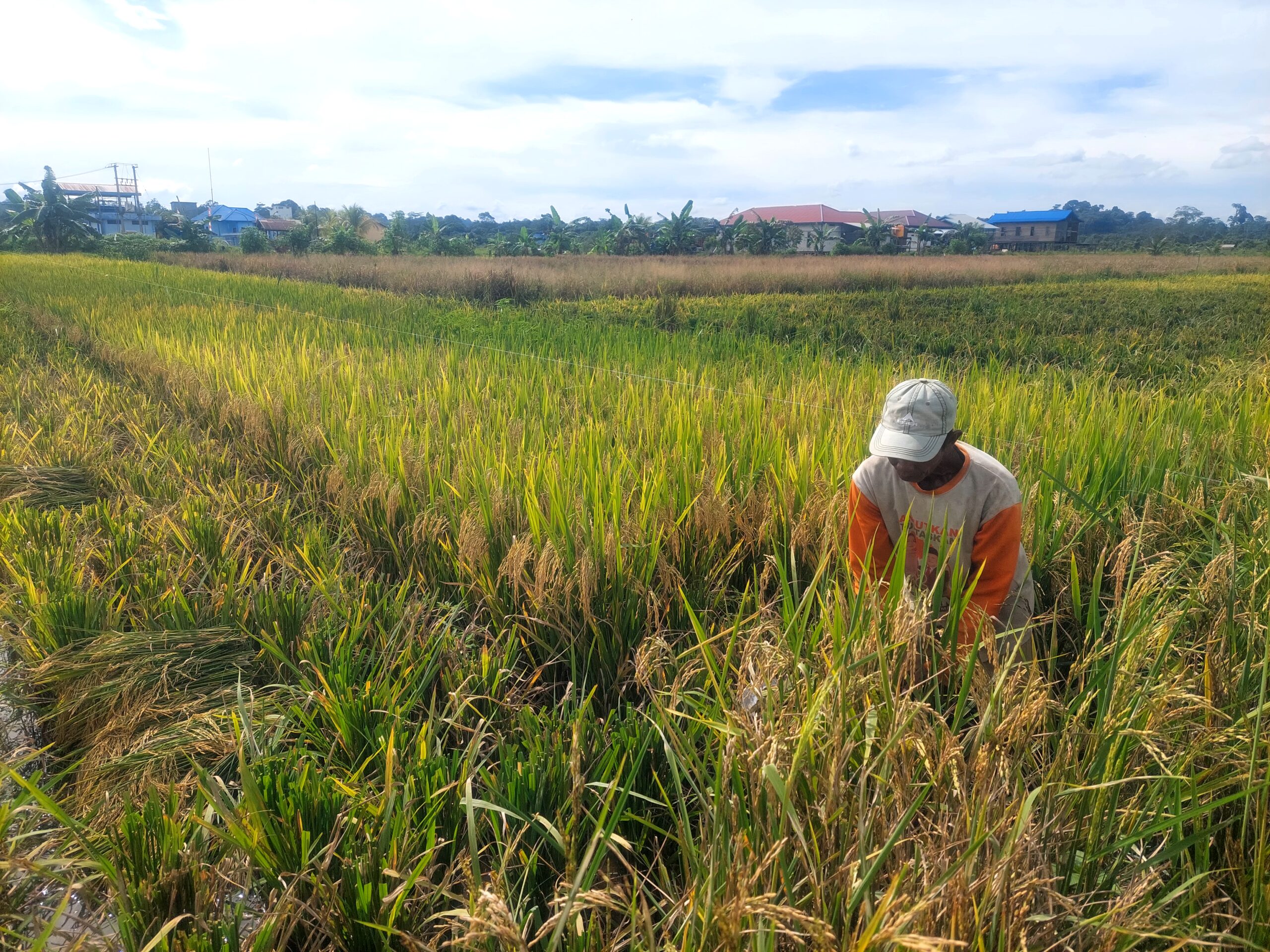 DPRD Minta Pemkab Perhatikan Penyediaan Pasar untuk Hasil Tani