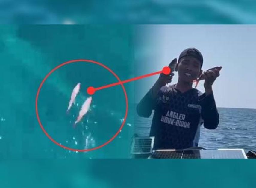 DPRD Sarankan Bentuk Satgas Anti Bom Ikan, Solusi Cegah Ilegal Fishing