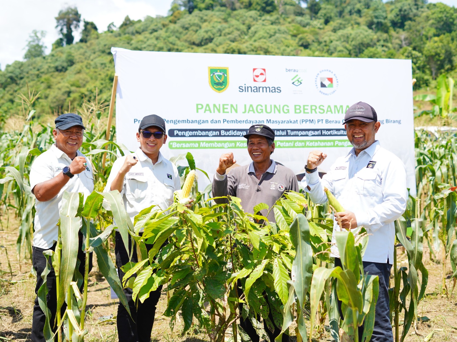 Panen Jagung Bersama Warga Birang, PT Berau Coal Komitmen Dukung Ketahanan Pangan