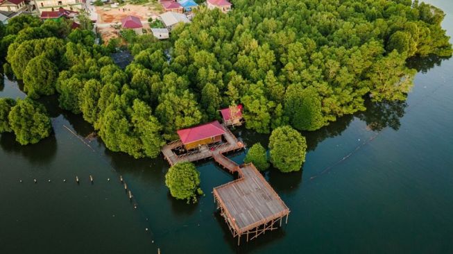 Eloknya Wisata Telok Bangko Bontang, Kawasan Kumuh yang Disulap jadi Hutan Mangrove