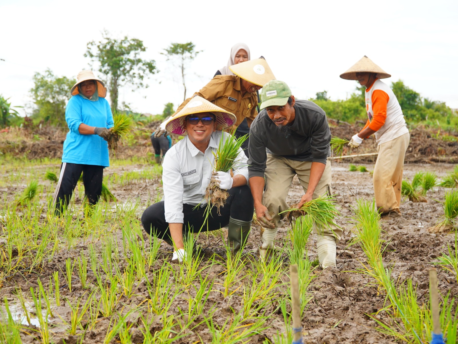 Kolaborasi Apik dengan Petani, PT Berau Coal Dukung Pengembangan Komoditi Padi di Kampung Tasuk