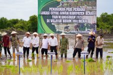 Dukung Program Asta Cita, Kodim 0902 Berau dan Petani Cetak 428 Hektare Sawah