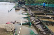Lima Bulan Berlalu, Perusahaan Tongkang yang Tabrak Keramba Warga di Bedungun Janji Ganti Rugi Rp 900 Juta