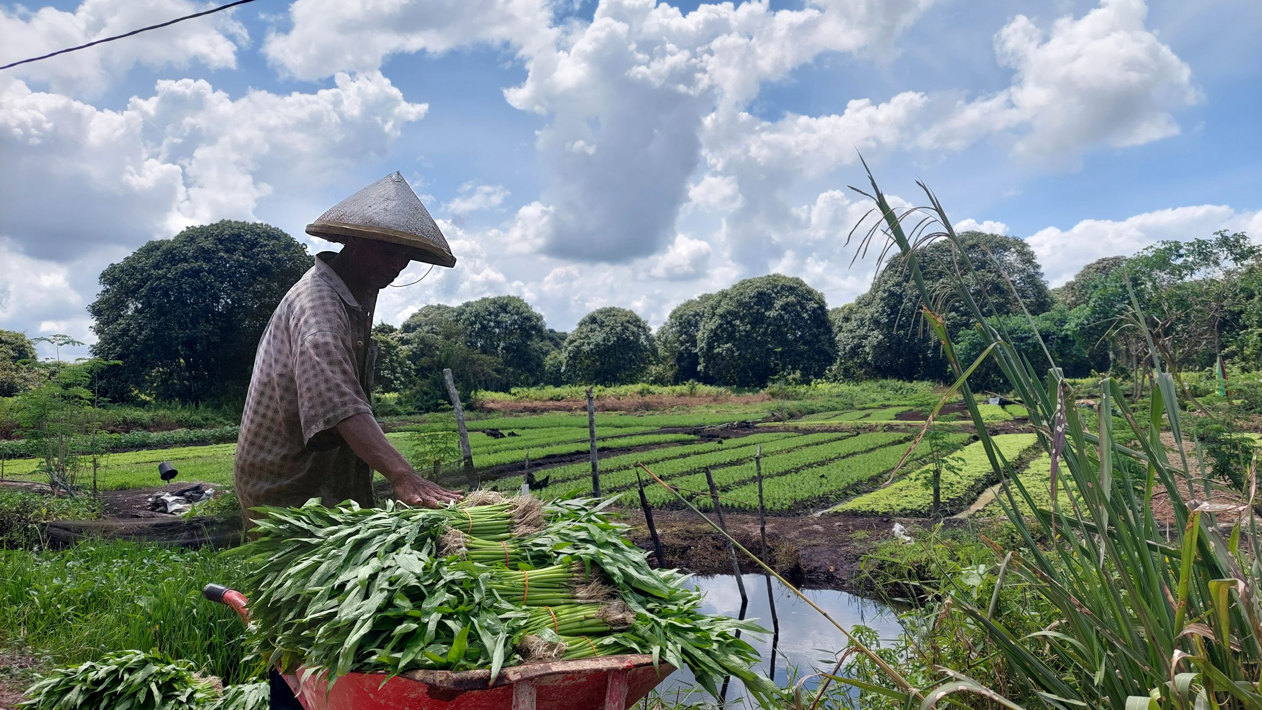 Sutami Sarankan agar Penyumbang PAD Bisa Ditingkatkan dari Sektor Non Pertambangan