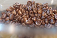 Sakirman: Berau Harus Punya Produk Lokal dari Kopi