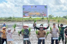 425 Hektare Lahan Padi Sawah Baru Ditarget Tercetak di Berau, Pemda Ajak Anak Muda Ikut Bertani