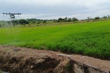 Sektor Pertanian di Berau Semakin Canggih, Sakirman Apresiasi Inovasi Penyemprotan Hama dengan Drone