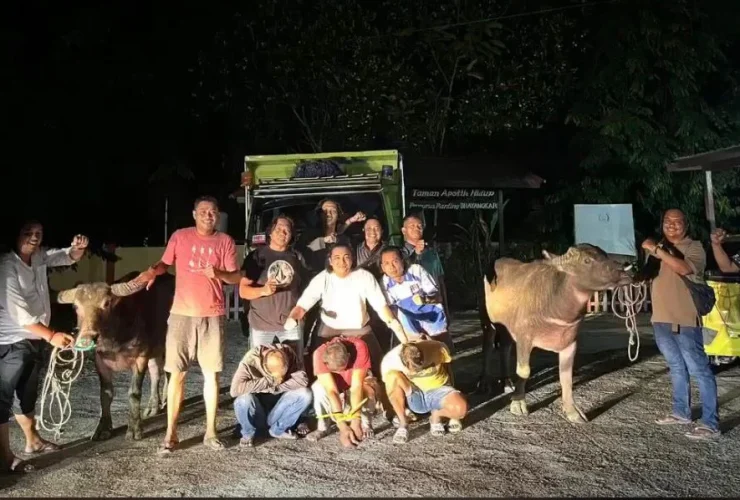 Beraksi pada Tengah Malam, Komplotan Pencuri Kerbau di Sambaratta Diringkus Polisi