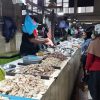 Dikeluhkan Bau Tidak Sedap di Areal Pasar Basah Sanggam Adji Dilayas, DPRD Sarankan Pembenahan Sirkulasi Udara