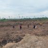 Kerap Hambat Pembangunan Daerah, DPRD Minta Pemda Berau Usul Penertiban Kawasan HGU yang Terlantar