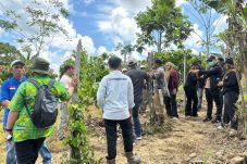 PT Berau Coal Ajak Karang Taruna Tanjung Redeb Berlatih Budidaya Kakao, Solusi Pengembangan di Lahan Urban Farming
