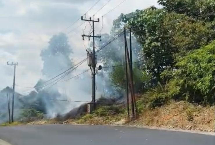 Potensi Kemarau di Depan Mata, DPRD Ajak Seluruh Pihak Lakukan Antisipasi Dini