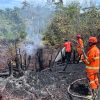 Musim Kemarau di Berau, Hingga Awal Juni BPBD Catat Luasan Lahan yang Terbakar Mencapai 7 Hektare
