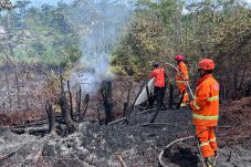Musim Kemarau di Berau, Hingga Awal Juni BPBD Catat Luasan Lahan yang Terbakar Mencapai 7 Hektare