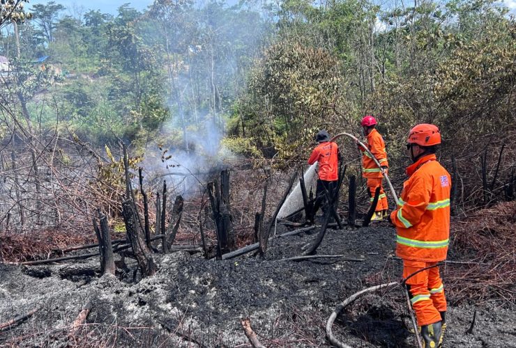 Musim Kemarau di Berau, Hingga Awal Juni BPBD Catat Luasan Lahan yang Terbakar Mencapai 7 Hektare