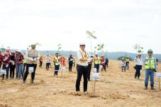 Hari Lingkungan Hidup Sedunia 2026, PT Berau Coal Tanam 3.403 Bibit Pohon