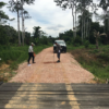 Petani Kakao di Gurimbang Kini Tak Lagi Kesulitan Menuju Kebun, PT Berau Coal Bantu Perbaiki Akses Jalan Usaha Tani