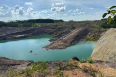 Berau Krisis Deforestasi Paling Luas di Indonesia, Kemana Jamrek Perusahaan?