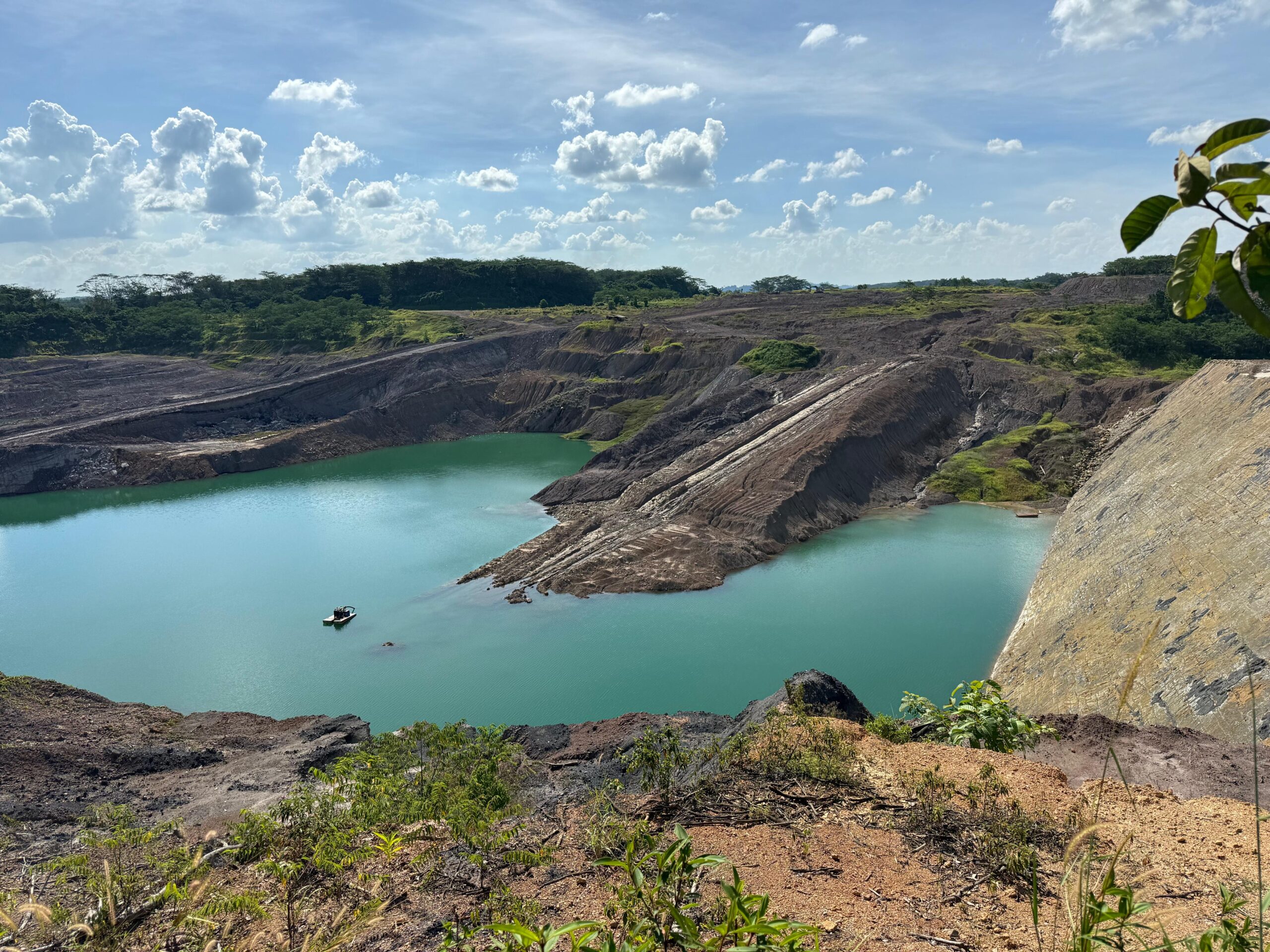 Berau Krisis Deforestasi Paling Luas di Indonesia, Kemana Jamrek Perusahaan?