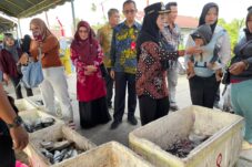 Tekan Inflasi dan Stunting, Pemkab Berau Perluas Penjualan Ikan Murah ke 13 Kecamatan