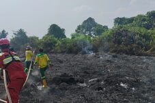 PT Berau Coal Perkuat Respons Karhutla di Berau, Tim ERG Dikerahkan